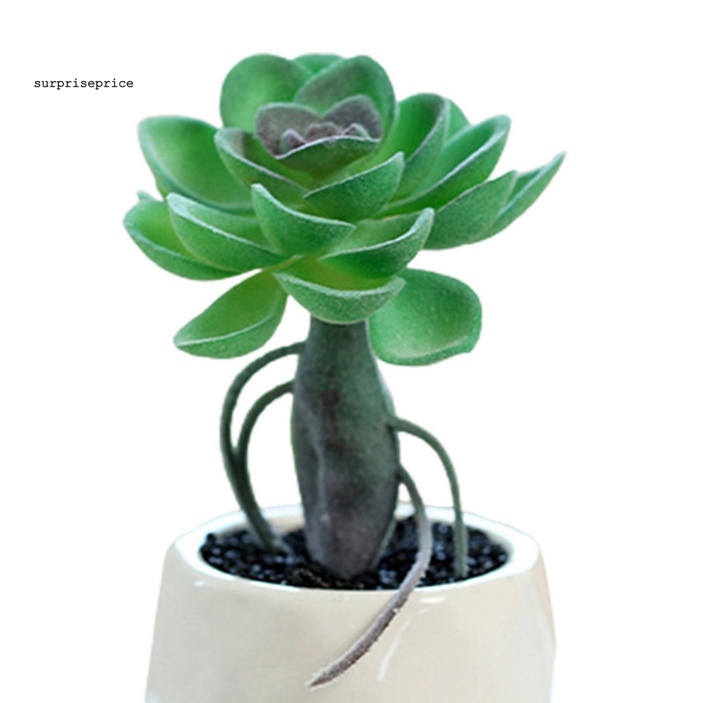 Chậu Cây Giả Mini Dùng Trang Trí Nhà Cửa