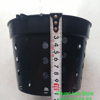 Chậu Nhựa Đen Trồng Lan Nhiều Lỗ F16