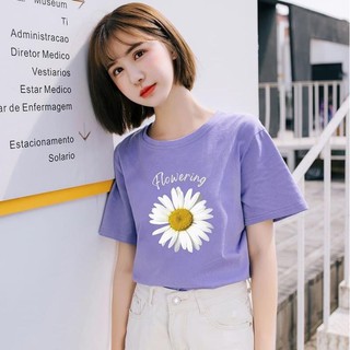Áo thun hoa cúc cotton mịn mát
