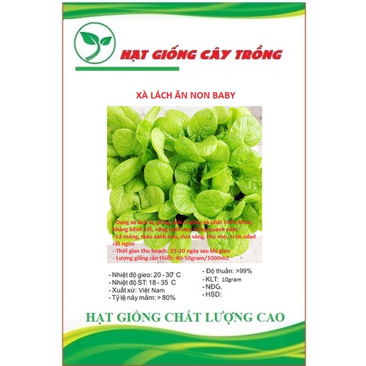 Hạt giống xà lách baby ăn non CT96 - Gói 10gram