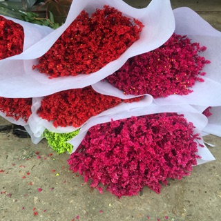 com bo 5 bó hoa sao nhuộm