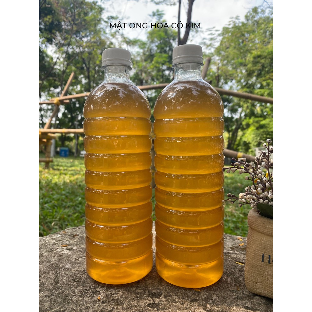 Mật ong hoa Cỏ Kim(Xuyến chi) 1 lít – 500ml nguyên chất từ DakLak | BigBuy360 - bigbuy360.vn