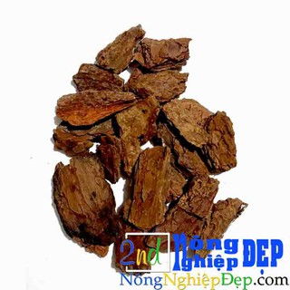 Vỏ Thông Newzita Gói 1 Kg - Giá Thể Trồng Lan đã xử lý