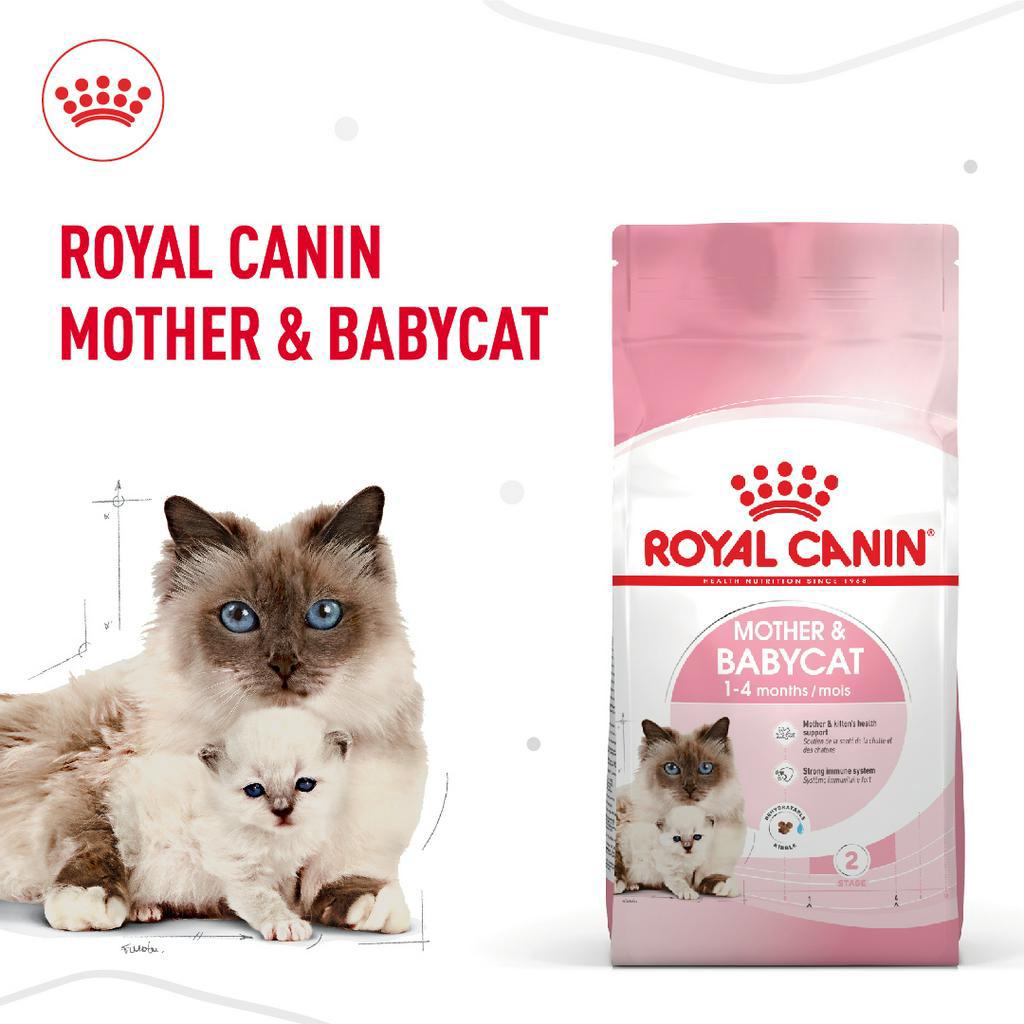 thức ăn mèo mother và baby cat 400gr và 2kg ( mèo mẹ và mèo con dưới 4 tháng tuổi) hiệu Royal Canin