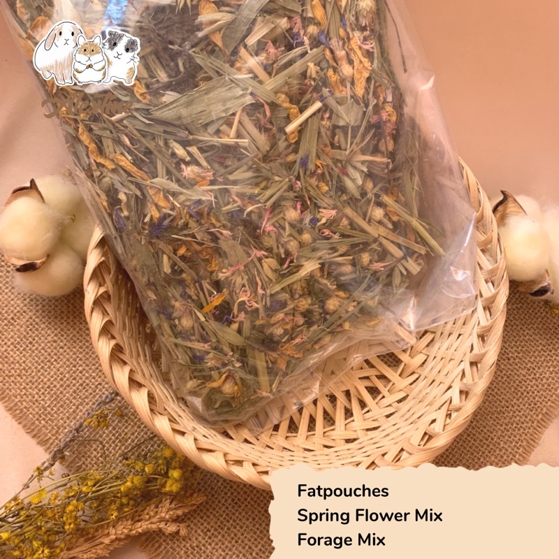 10 Grams - Forage Mix hoa mùa xuân