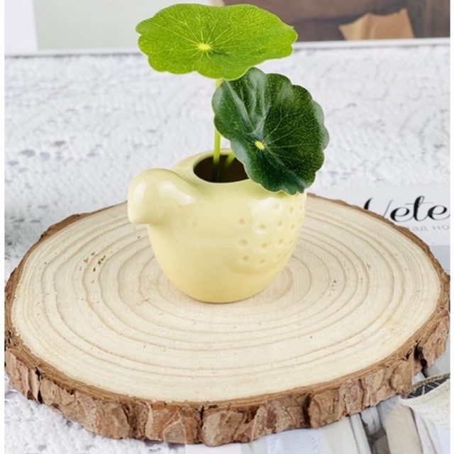 Chậu trồng cây,Bình cắm hoa mini decor trang trí,chụp ảnh hình con chim