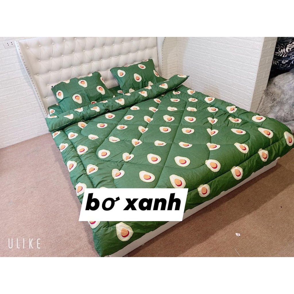 Bộ Ga Gối Cotton hàn 100% Cotton Đẹp Như Hình [Loại Đẹp Dày]