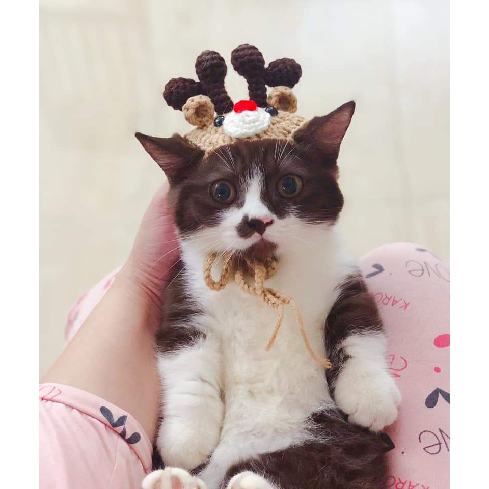 Nón len TUẦN LỘC MINI handmade cho PET chó, mèo,. thỏ, chuột ú.....