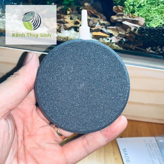 Đĩa sủi Oxy đường kính 80mm , tăng khả năng hòa tan oxy trong nước,bể cá cảnh, bể thủy hải sản