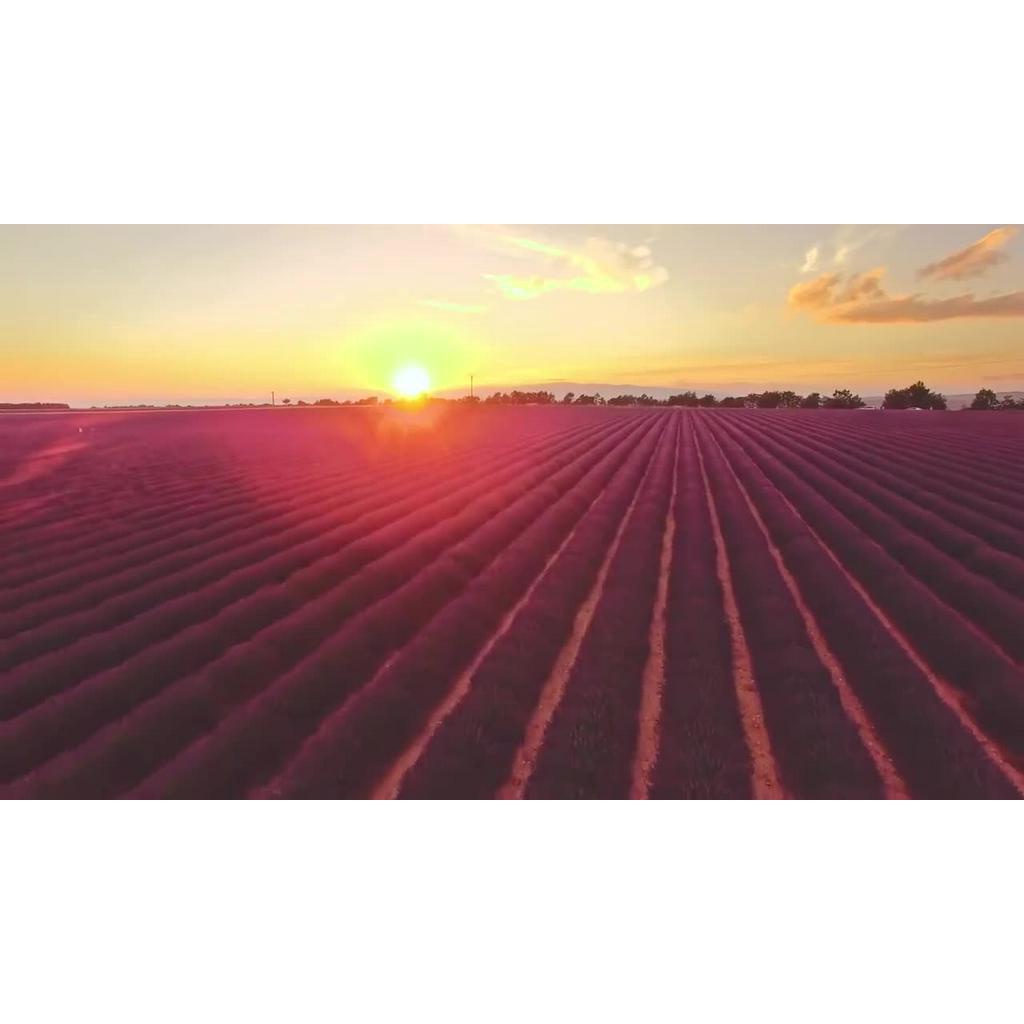 Bio-Oil [Chính hãng] - Skin care giảm sự hình thành vết rạn da và làm mờ sẹo | BigBuy360 - bigbuy360.vn