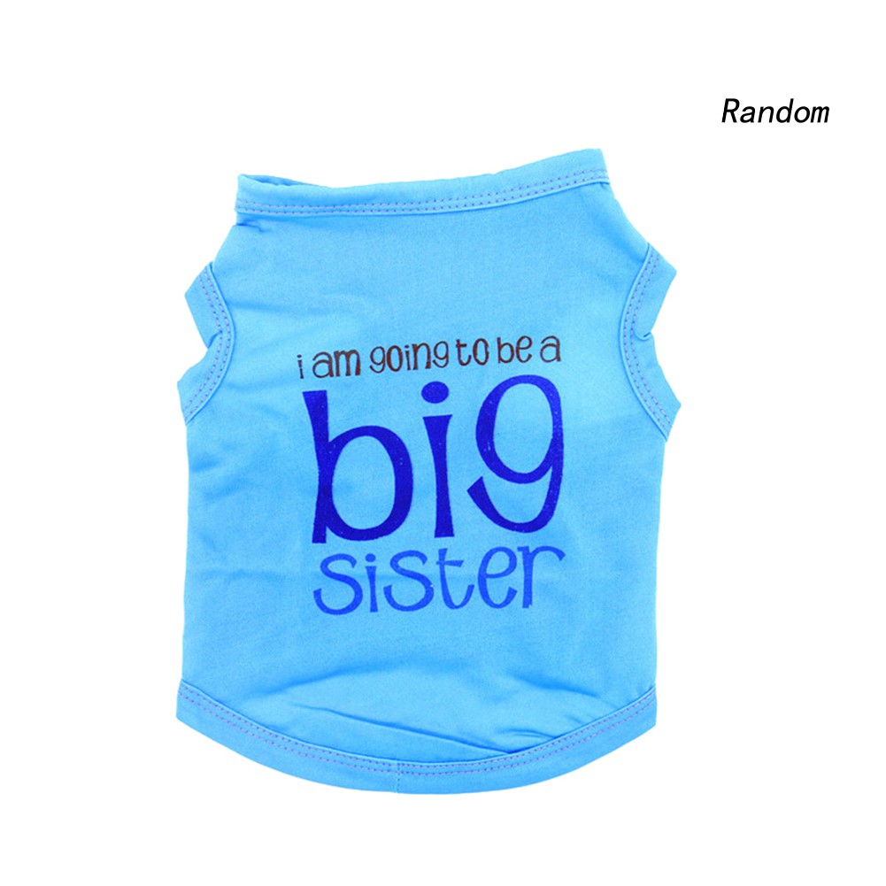 Áo Chống Nắng Cho Thú Cưng Ran