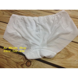Combo 10 Quần lót thun lụa  cao cấp