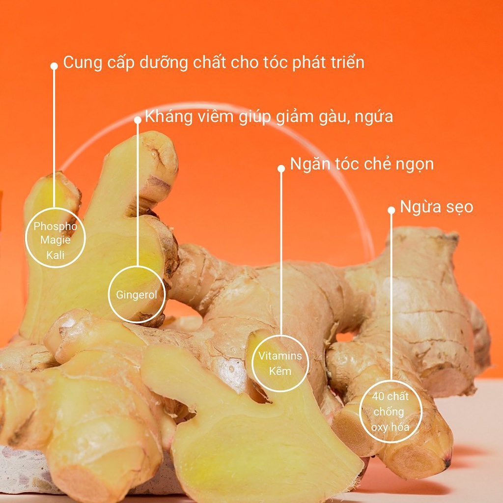 Muối Tắm BareSoul Đa Năng Cho Da Đầu & Cơ Thể 300g