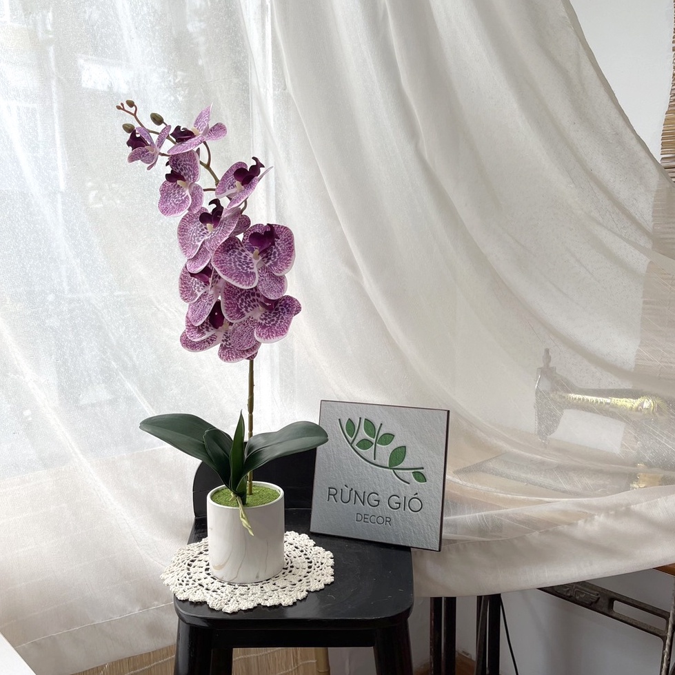 Set chậu Lan Hồ Điệp , hoa lan cao su nhân tạo cao cấp mã Set14