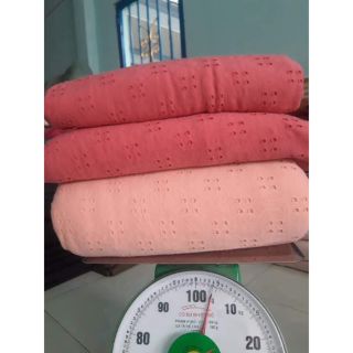 Vải thun lỗ chị hoàng my