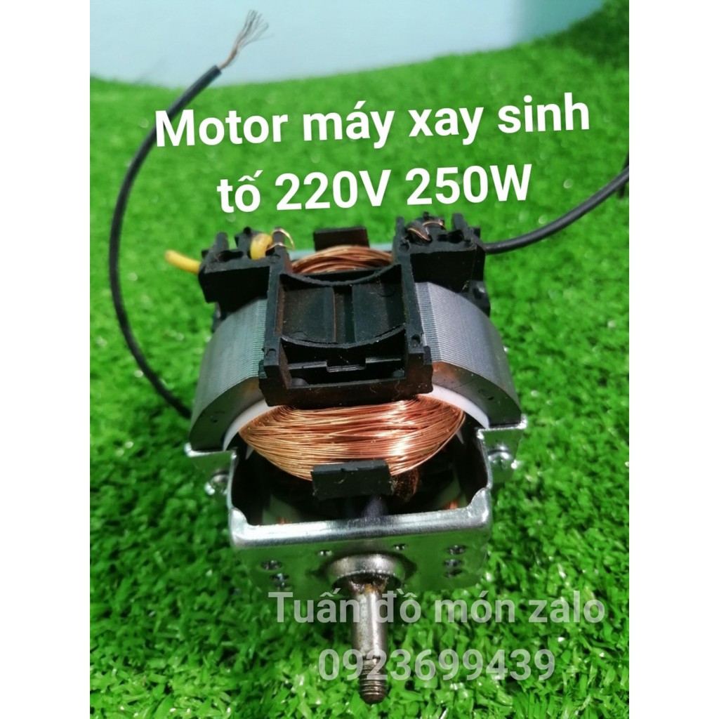 Motor Động Cơ Máy Xay Sinh Tố 220v-250W phụ kiện phụ tùng linh kiện chính hãng