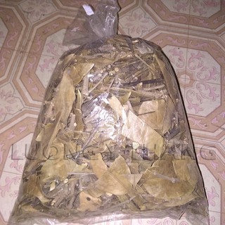 tầm gửi mít khô 500 gam