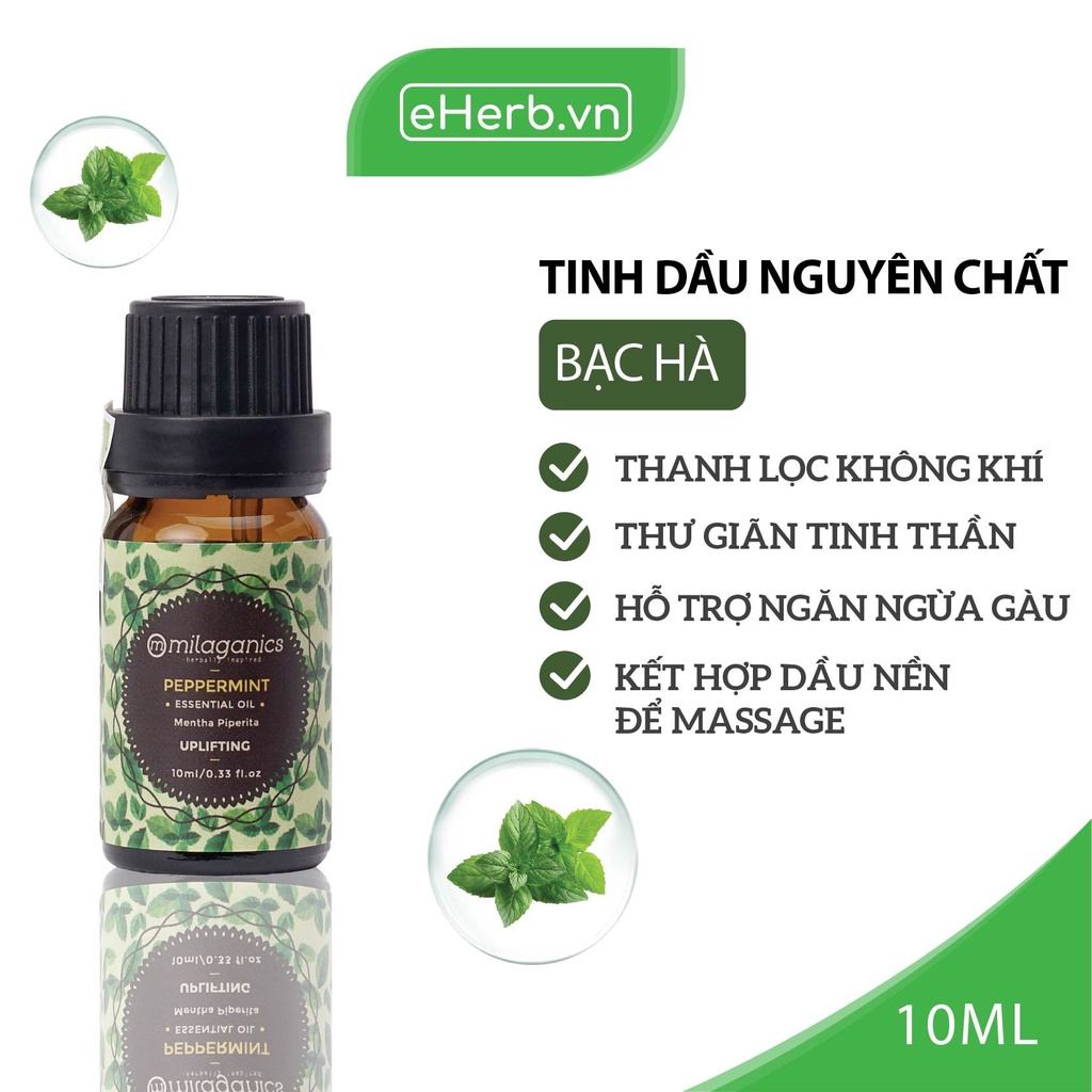 Tinh Dầu Bạc Hà Nguyên Chất Giúp Đuổi Muỗi, Thơm Phòng, Giảm Stress MILAGANICS 10ml (Chai)