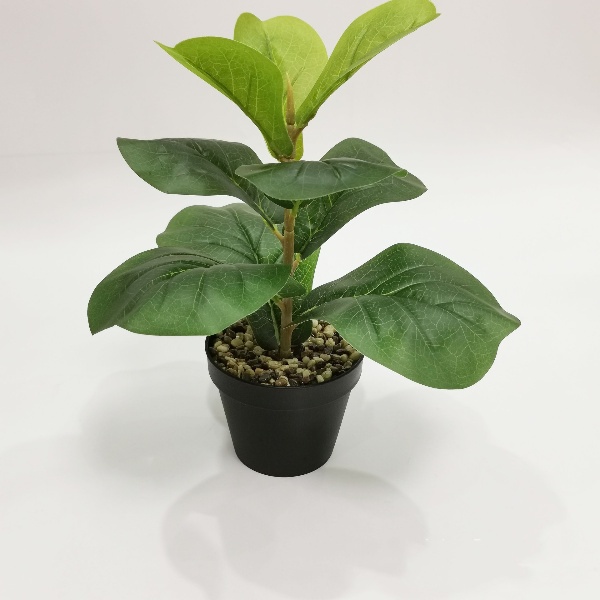 Cây Bàng Singapore Mini Cao 35cm - Cây Hoa Giả Trang Trí Lizflower [Không Kèm Chậu