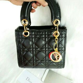 Túi xách Dior size 20