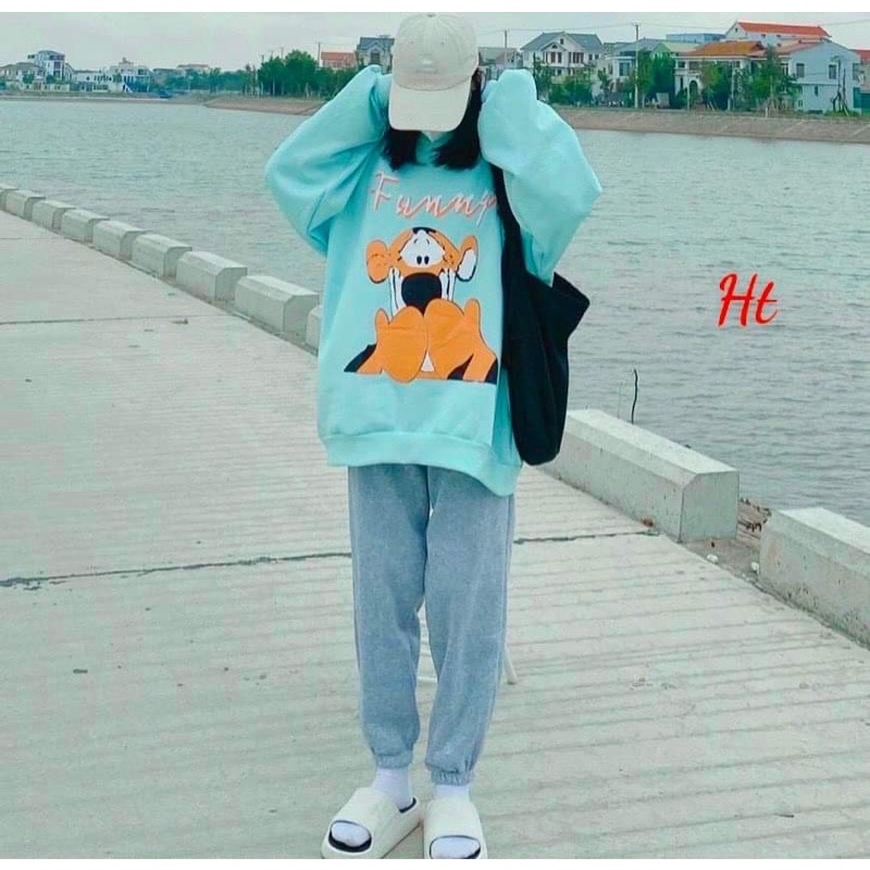 Bộ nỉ ngoại sư tử cam H2B