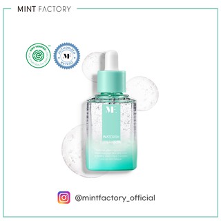 [Hàng mới về] Ampoule tinh chất gốc nước MINT FACTORY