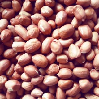 Đỗ lạc khô(đậu phộng) 500g không hóa chất