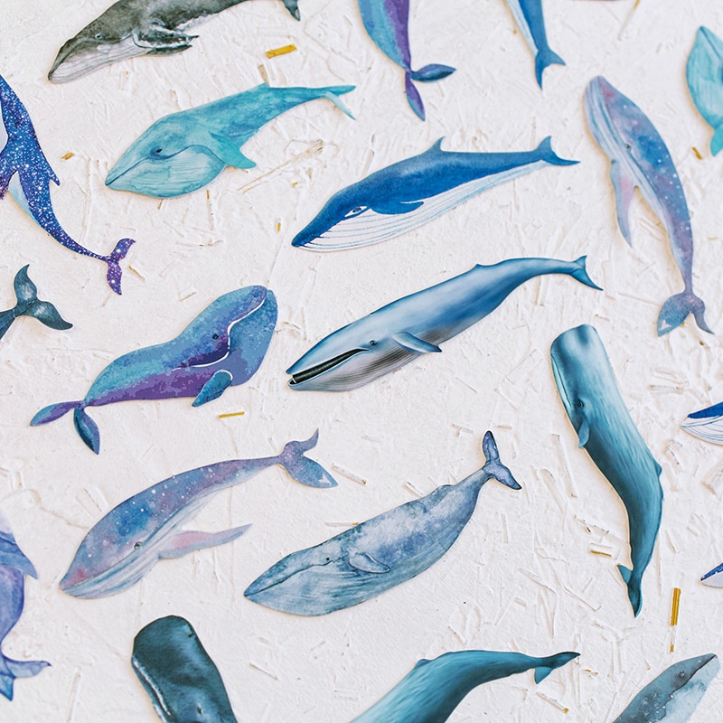 Hộp 30 thẻ đánh dấu trang sách họa tiết cá voi độc đáo