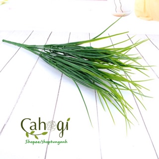 Cây Giả - Cành Mạ Non Trang Trí