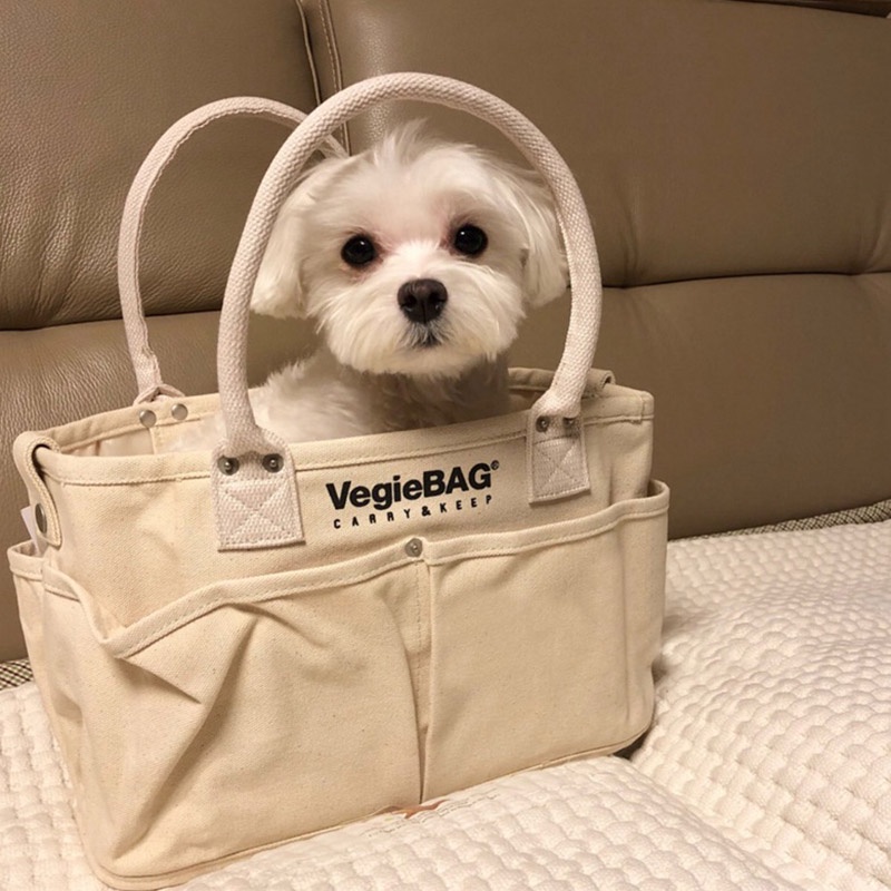 Túi Xách canvas Sức Chứa Lớn Đa Chức Năng Cho Nữ