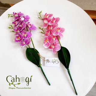 Hoa giả - Cành Lan Hồ Điệp Silicol 2 Nhánh