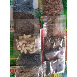 Hạt giống Rau quả các loại (3k 1gói lẻ) (chọn tên hạt, chọn số lượng)