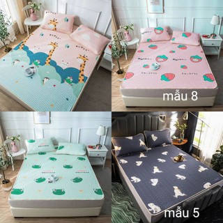 Chiếu điều hòa cao su non họa tiết 3d