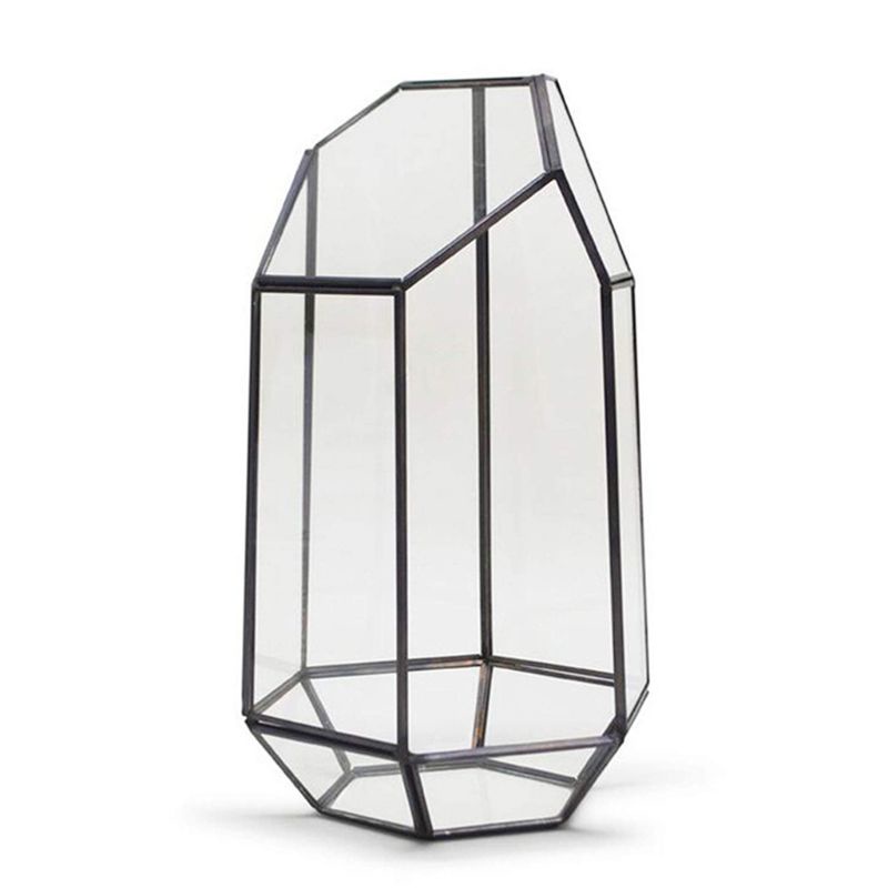 Chậu Kính Trồng Cây Kiểu Hình Học 9.4 Inch