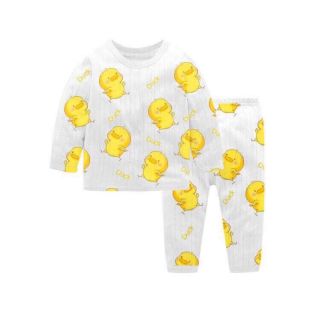 Bộ cotton giấy đẹp