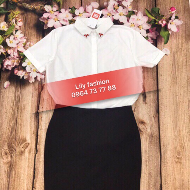 Lily Fashion