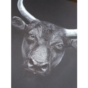Cường Lực Mipow Kingbull Kèm Tool Dán Premium Silk HD Dành Cho iPhone 14/14Plus/14Pro/14Pro Max