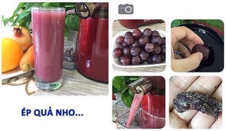 Máy ép trái cây SAVTM JE-08
