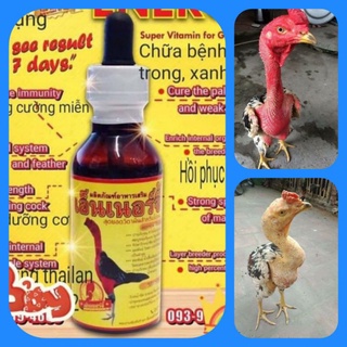 thuốc ốm trong teo lườn cho gà  [ LỌ 60ML ] -  phục hồi gà ốm trong - vàng da -- tái nhợt