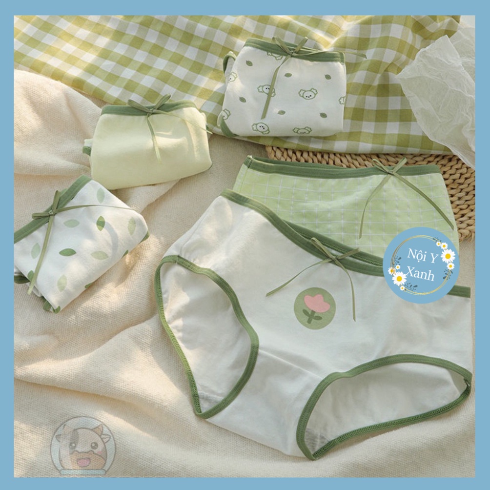 Set 5 quần Quần Lót cotton Lưng Vừa Thoáng Khí thoải mái và dễ chịu Cho Nữ Nội y xanh chất đẹp deal xịn sexy