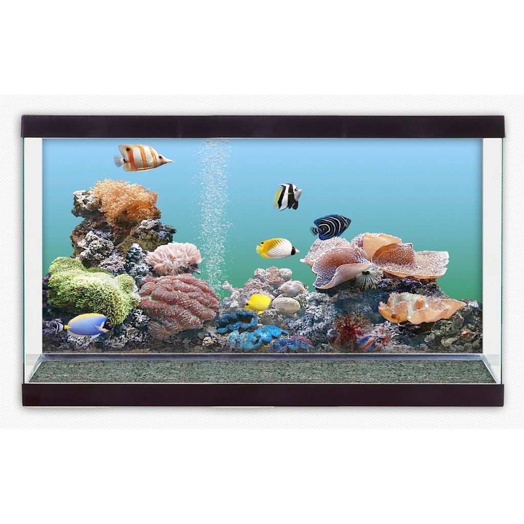 Tranh dán hồ cá  3D Aqua 36-38  - kích thước 120 x 60 cm