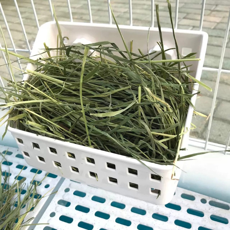 Giỏ Cỏ Nhựa Treo Lồng Chuột Hamster Hay Manger Có Thể Tháo Rời