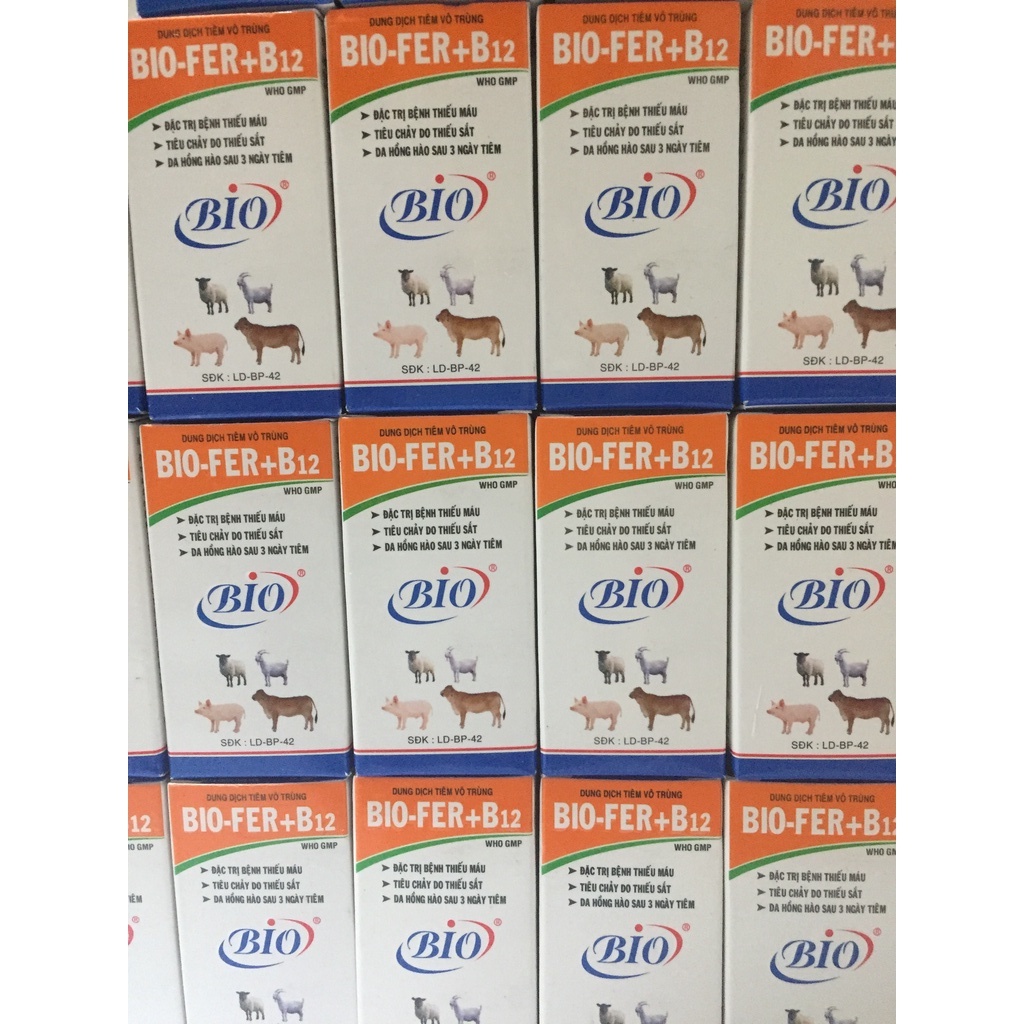 BIO-FER +B12 chai 20ml. Bổ sung sắt và Vitamin cho heo, bò