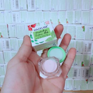 COMBO 5 HỦ KEM NÉN HAZELINE