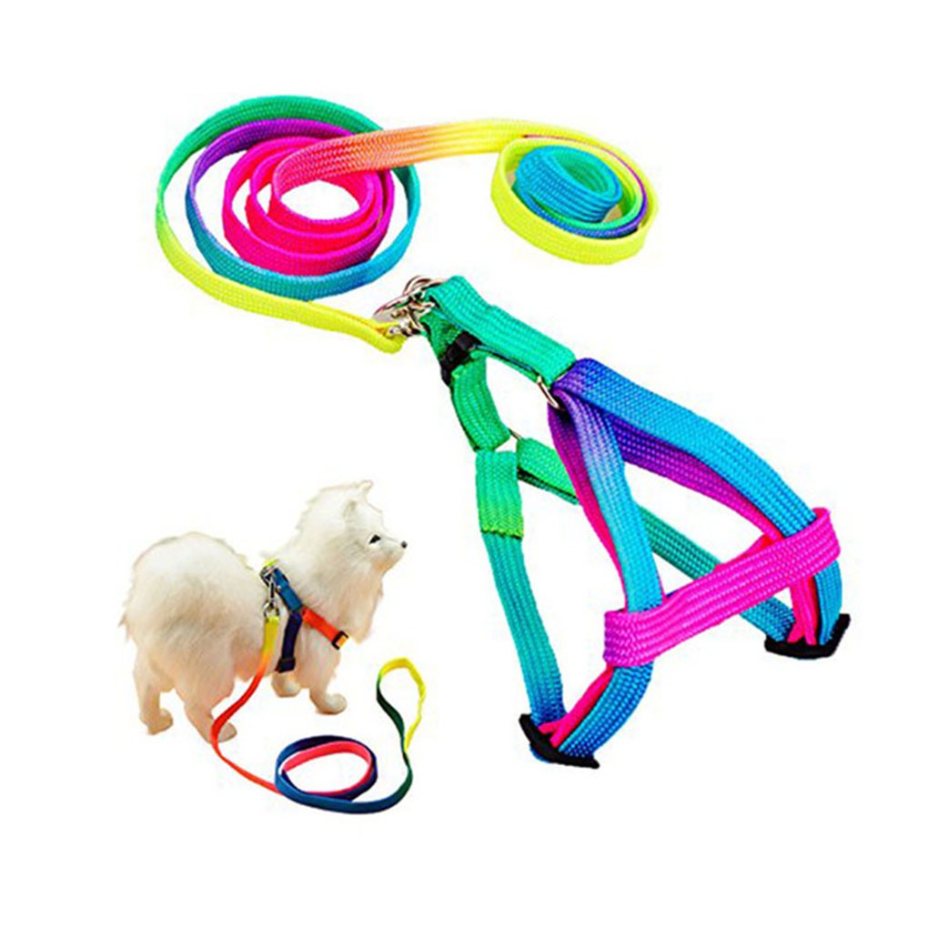 Adjustable Rainbow Small Rabbit Cat Collar Leash Band Dog Pets Lead Harness Strap Belt CHSG