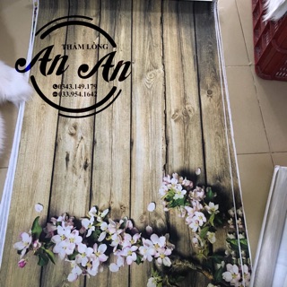 Vải nền hình 3d chụp ảnh
