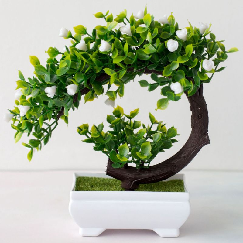 Cây cảnh thanh lí