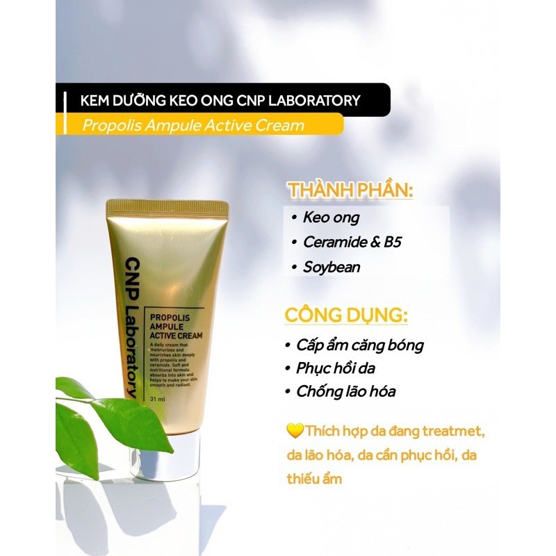 Kem dưỡng keo ong CNP Laboratory Propolis Ampule Active Cream 31ml