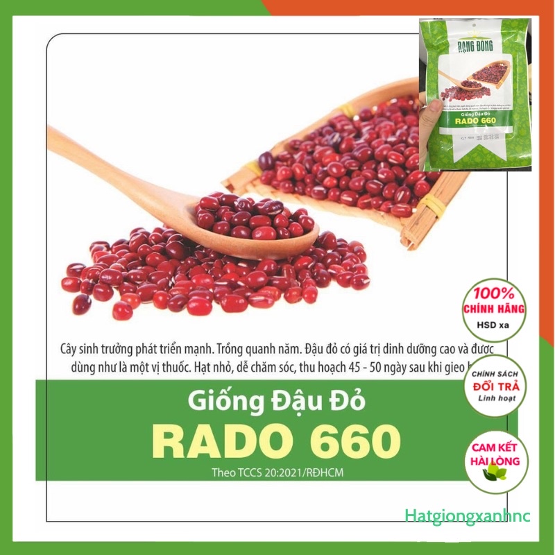 Hạt giống đậu đỏ Rado 660 chính hãng Rạng Đông trồng quanh năm, nhiều quả, hạt giống rau củ quả chính hãng
