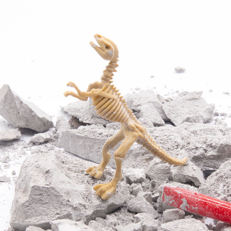 ↂ♂khủng long nhỏ hóa thạch khai quật khảo cổ mô phỏng đồ chơi trẻ em đào kho báu câu đố sổ tay tự làm hình sáng tạo quà